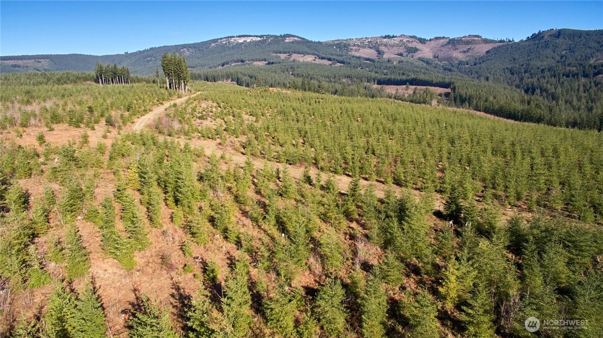 4 Northeast Jones Creek Road Camas, WA 98607 - Photo 26 of 29 a view of a lush green hillside and a building