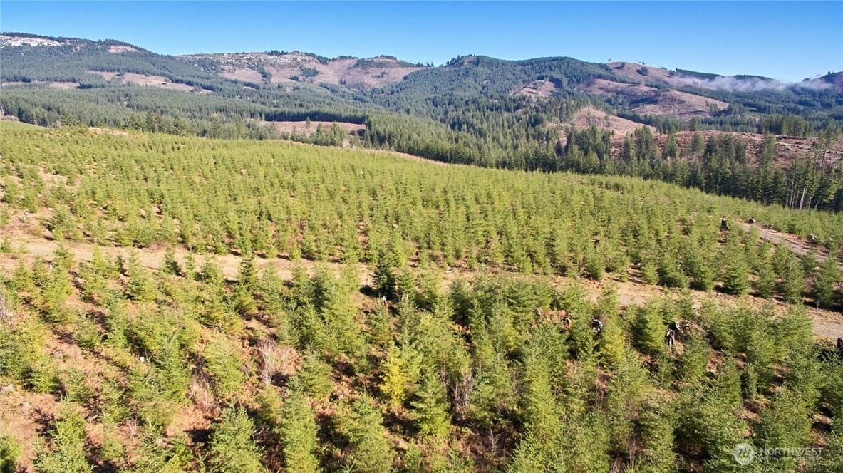 4 Northeast Jones Creek Road Camas, WA 98607 - Photo 27 of 29 a view of a field with mountains in the background