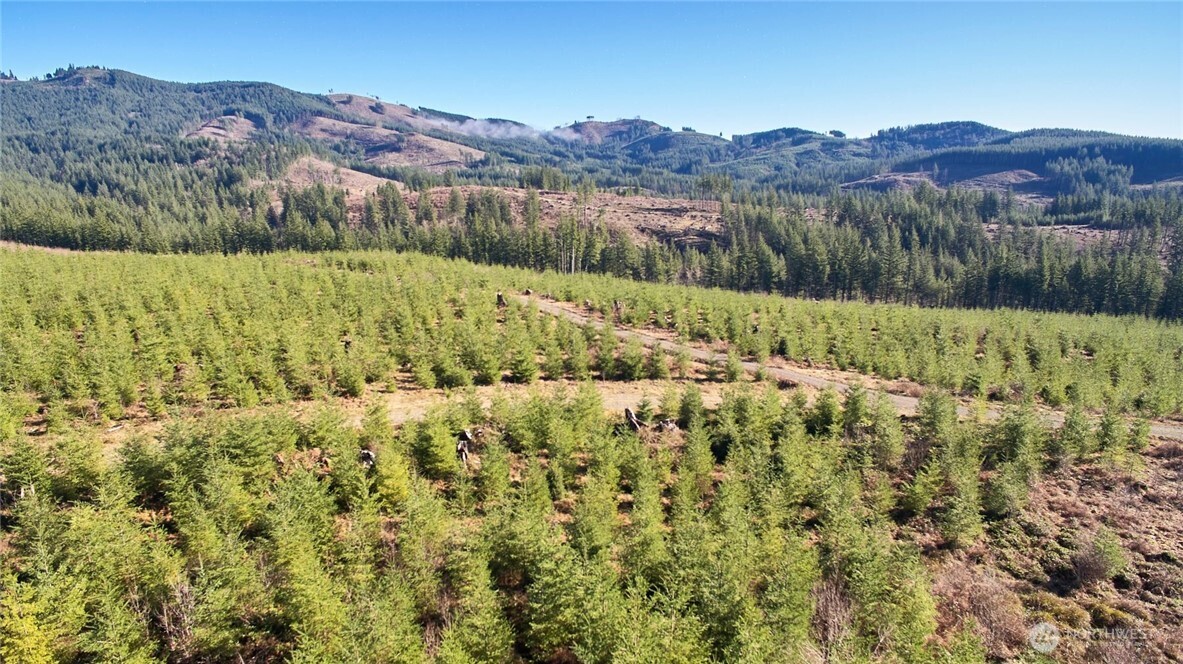 4 Northeast Jones Creek Road Camas, WA 98607 - Photo 28 of 29 a view of lake and mountain