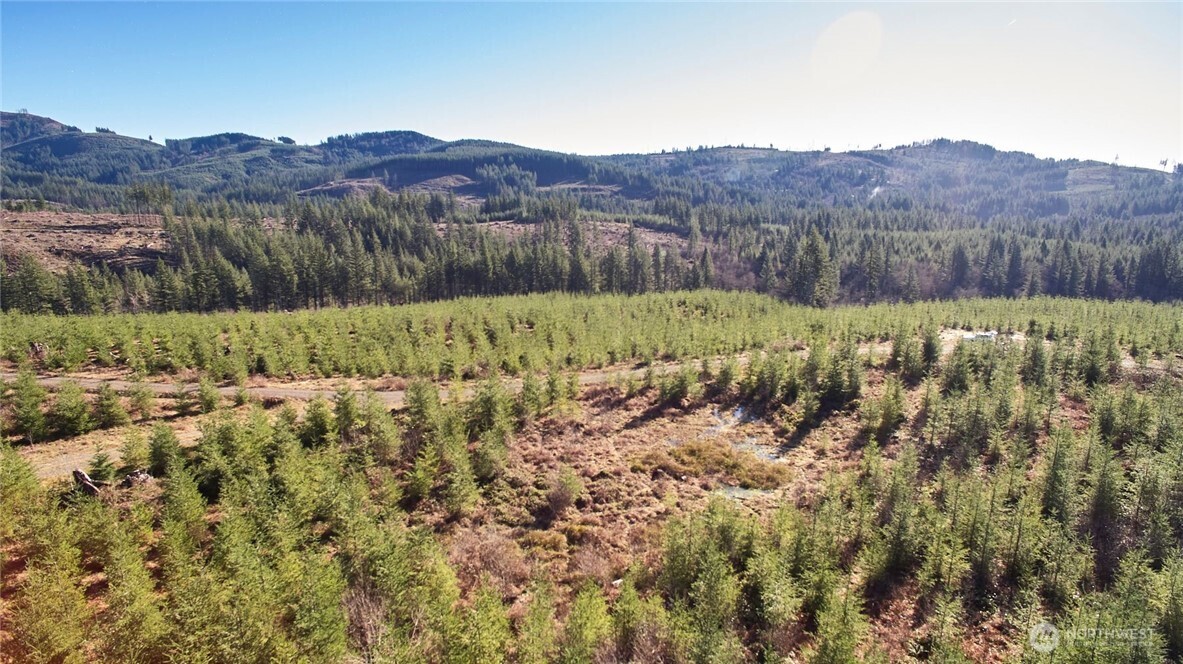 4 Northeast Jones Creek Road Camas, WA 98607 - Photo 29 of 29 a view of a backyard with green space
