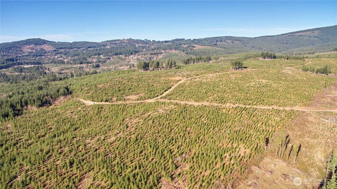 4 Northeast Jones Creek Road Camas, WA 98607 - Photo 5 of 29 a view of lake and mountain