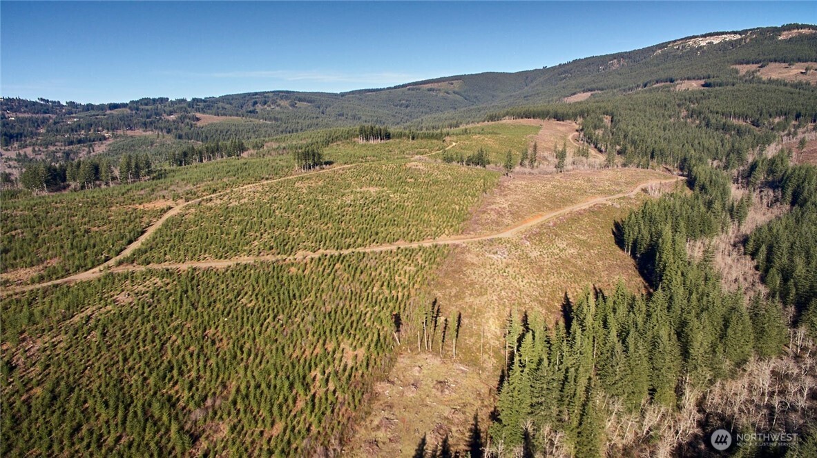 4 Northeast Jones Creek Road Camas, WA 98607 - Photo 7 of 29 a view of a town with mountains in the background