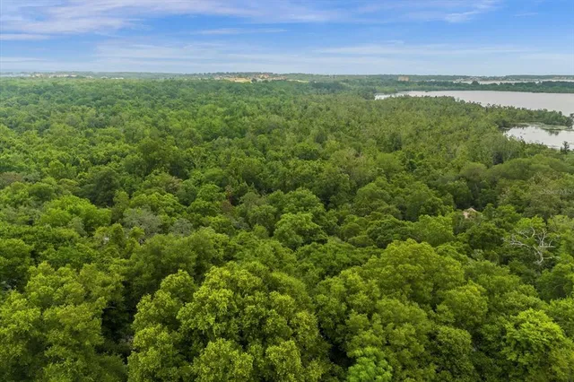 a view of a lake with a city view