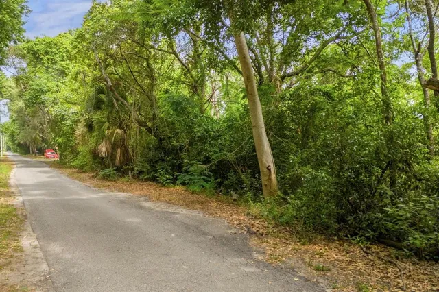 a view of a yard with a trees