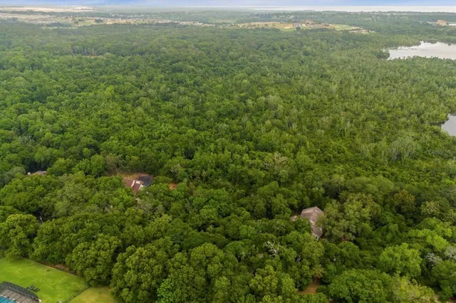 a view of a city with lush green forest