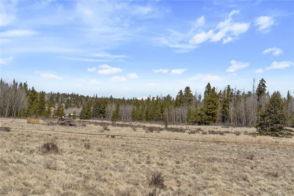 $799,000 | 247 Foxtail Court, Fairplay, CO 80440