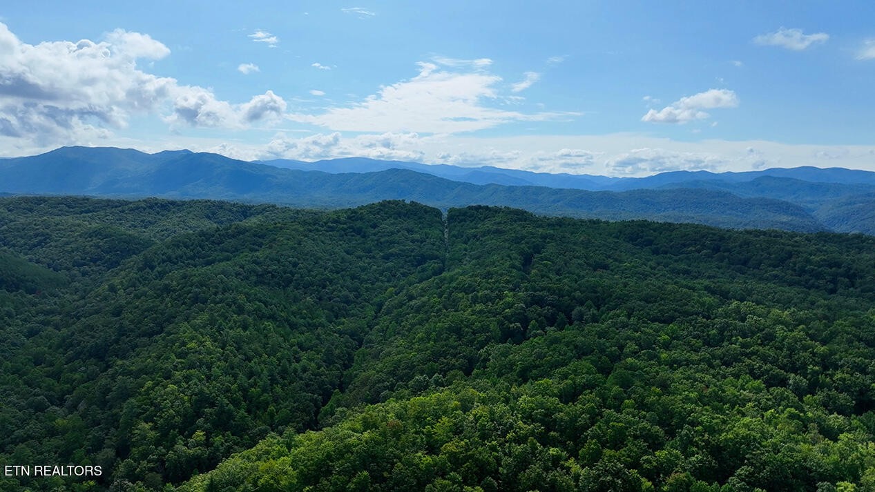 250 Seng Garden Road Tellico Plains, TN 37385 - Photo 10 of 15