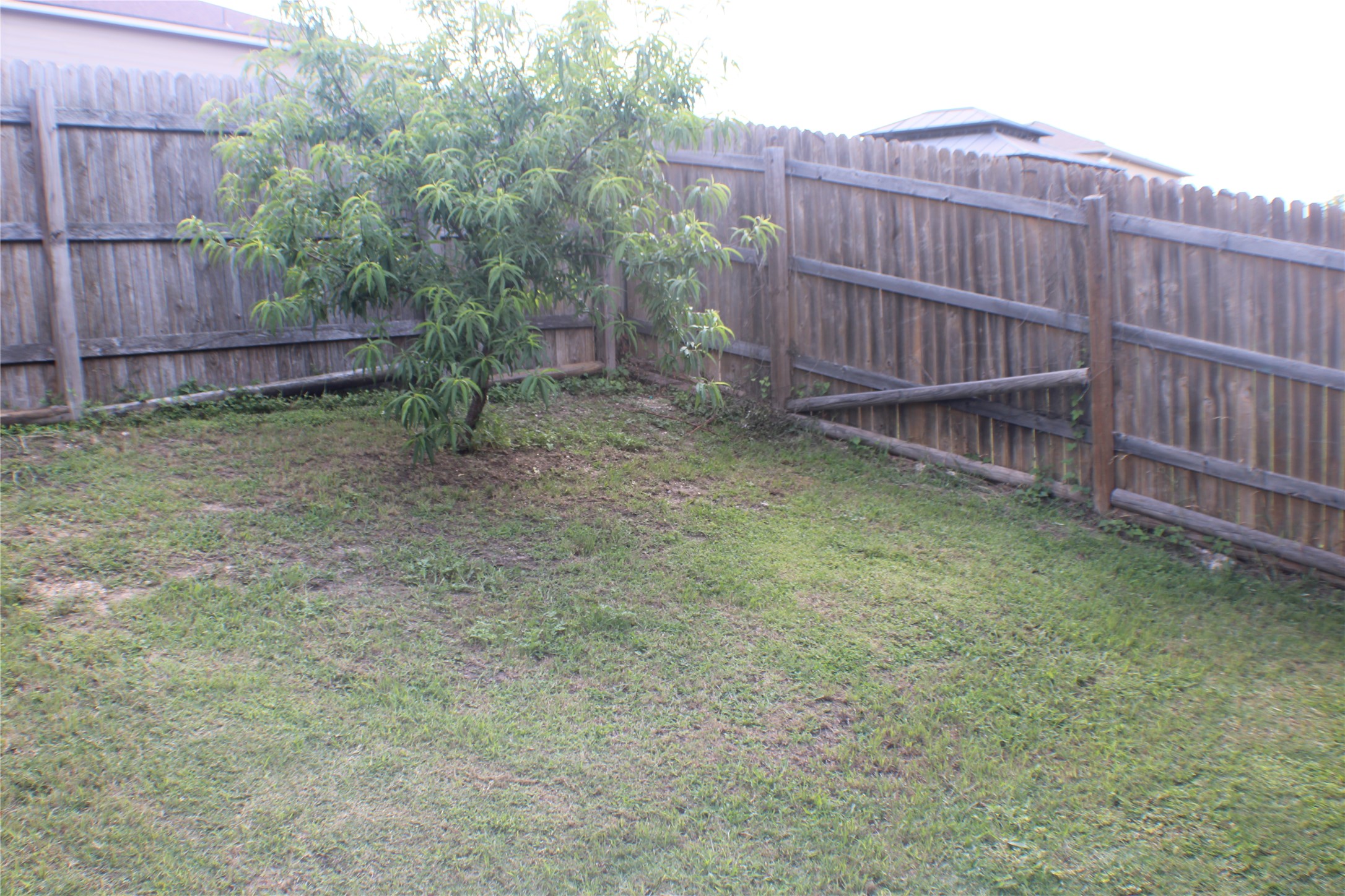12217 Riprap Drive Manor, TX 78653 - Photo 17 of 19