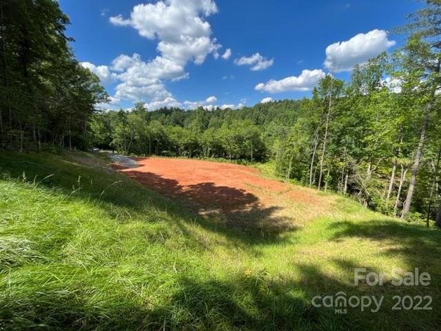 0 Fox Ridge Lane Hickory, NC 28601 - Photo 1 of 17 Gallery Image 1