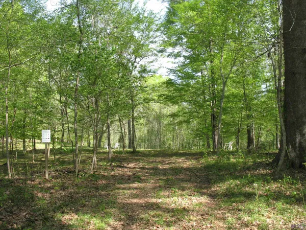$335,000 | 5850 Alexander Drive, St. Francisville, LA 70775