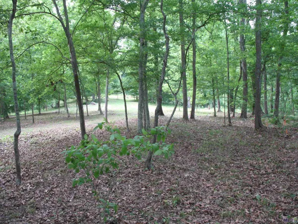 $335,000 | 5850 Alexander Drive, St. Francisville, LA 70775