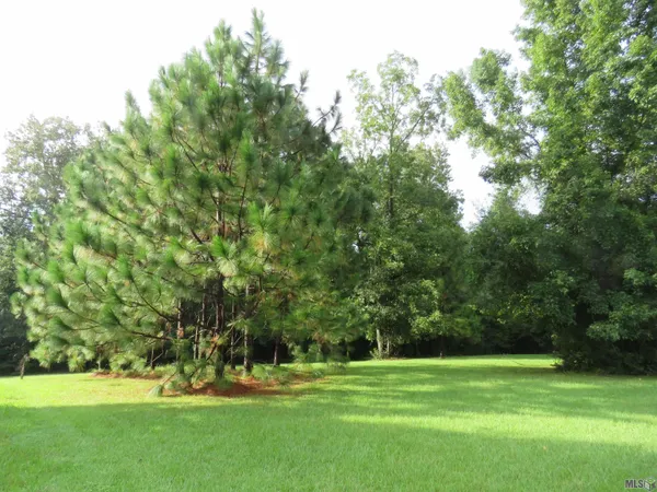 $335,000 | 5850 Alexander Drive, St. Francisville, LA 70775