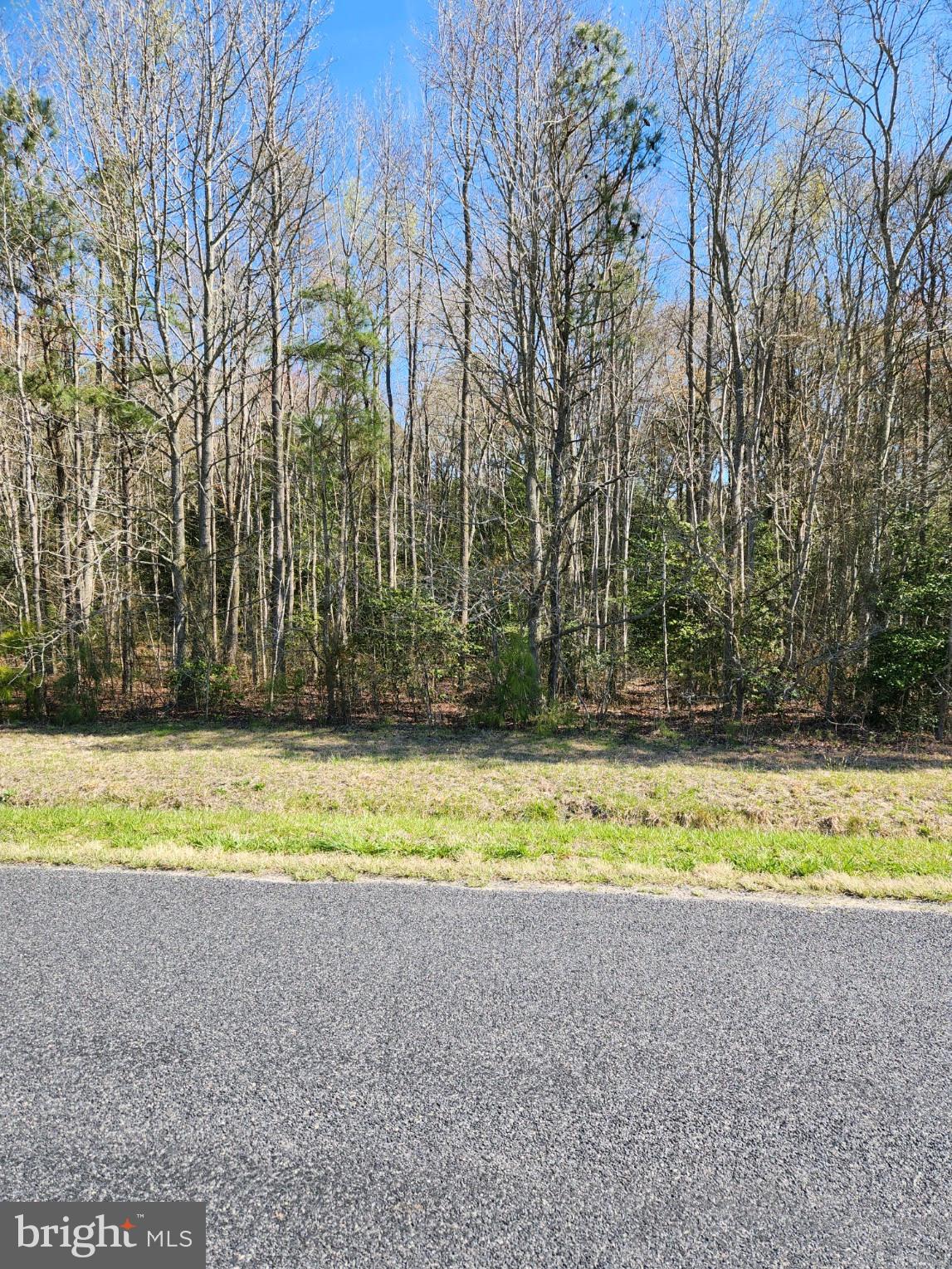 Lot 4 Johnson Road Laurel, DE 19956 - Photo 1 of 1 Gallery Image 1