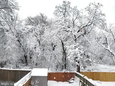 a view of a ground with large trees