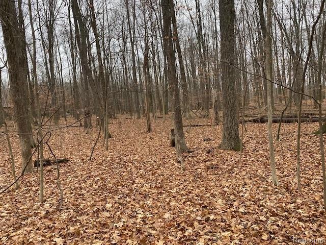0 Corlett Road Brighton, MI 48114 - Photo 1 of 7