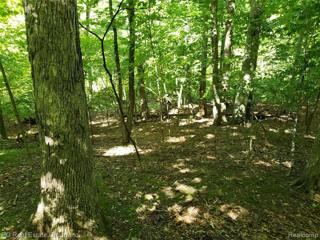 0 Charitoo Ridge Leonard, MI 48367 - Photo 29 of 34