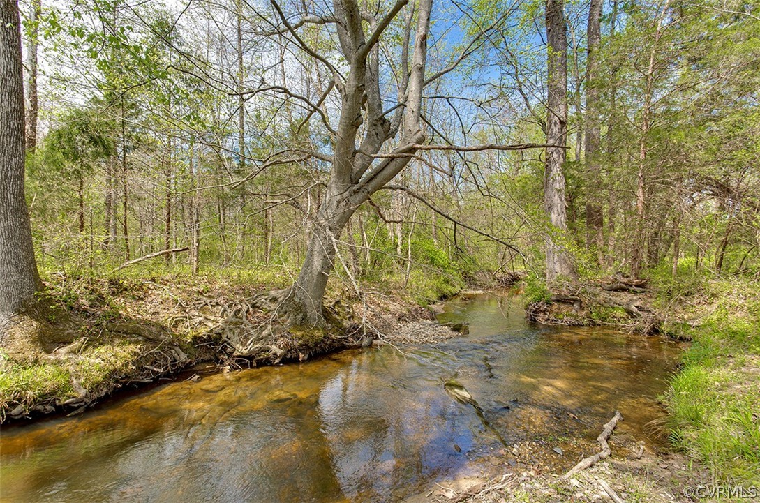 14074 Blunts Bridge Road Ashland, VA 23005 - Photo 49 of 50 Falling Creek