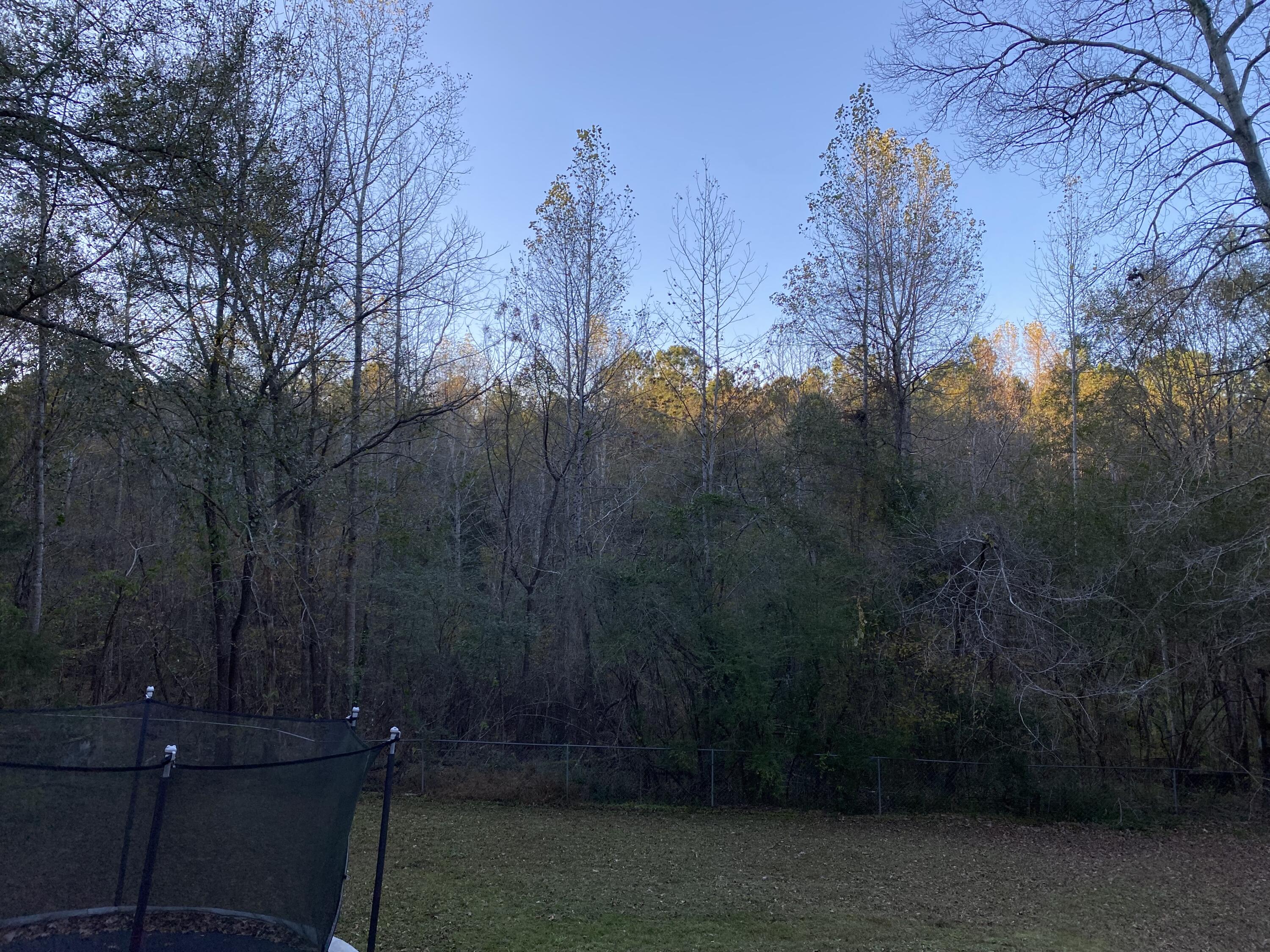 1604 Hinton Wilson Road Harlem, GA 30814 - Photo 32 of 34 View from the back deck