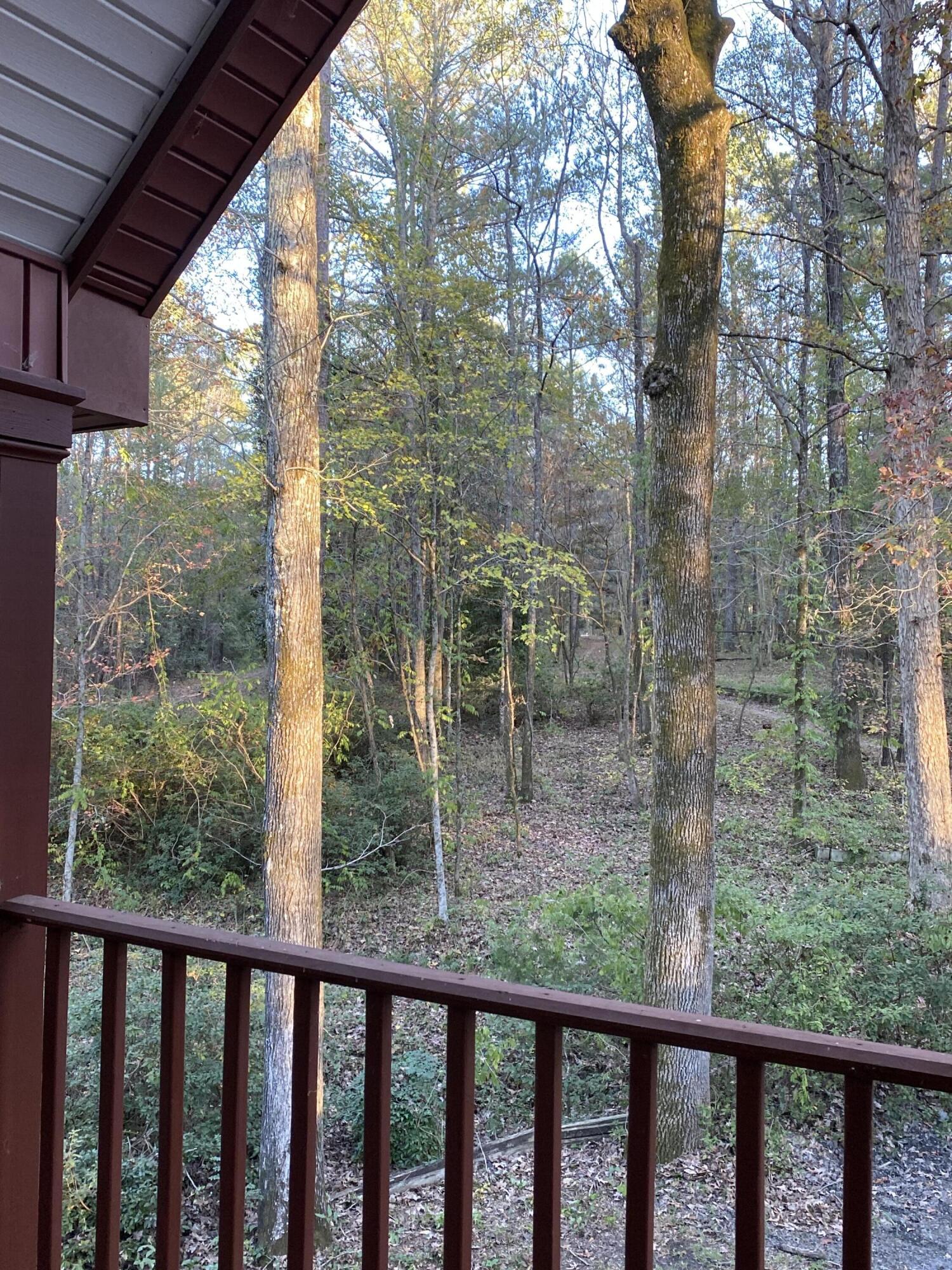 1604 Hinton Wilson Road Harlem, GA 30814 - Photo 6 of 34 View from the front porch