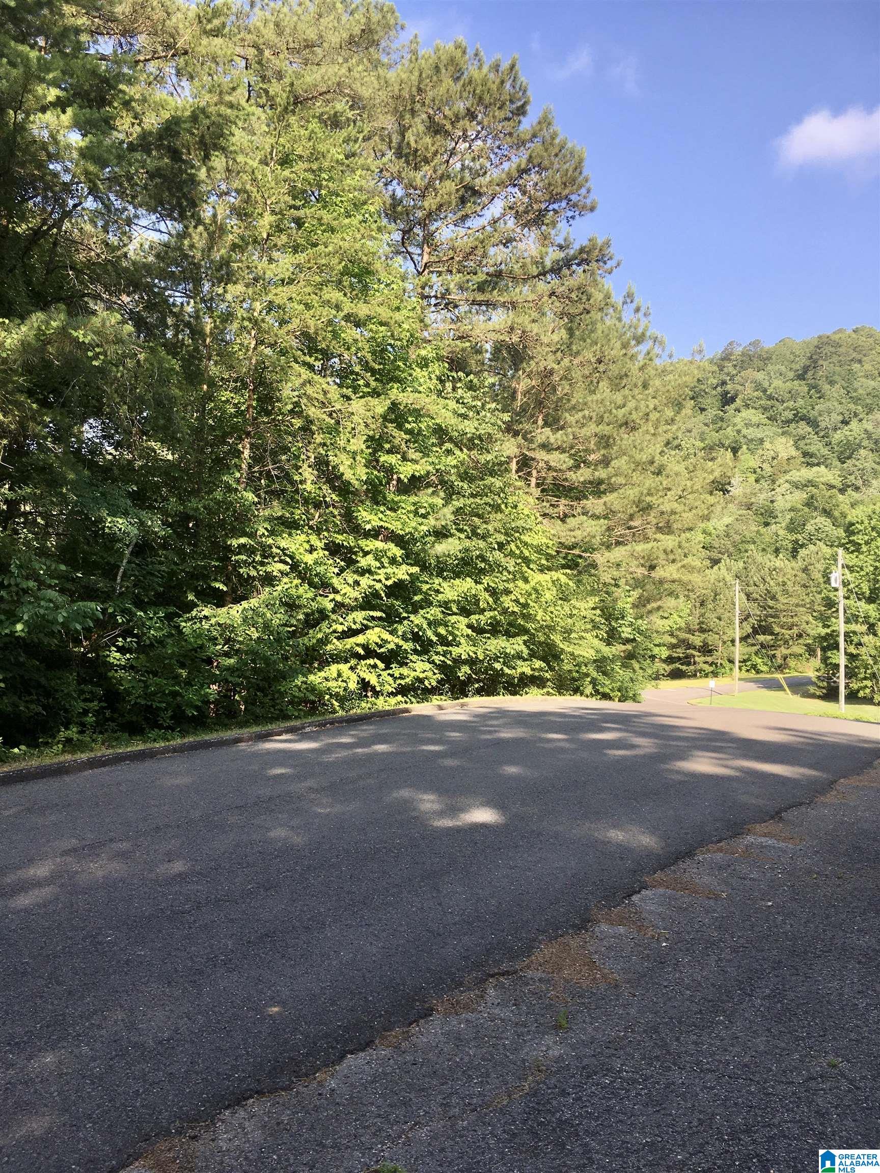 0 Quail Ridge Road, Unit 1 Oneonta, AL 35121 - Photo 13 of 29
