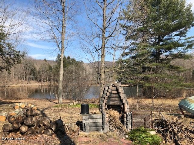 642 Cheshire Road Lanesborough, MA 01237 - Photo 4 of 13 Yard view