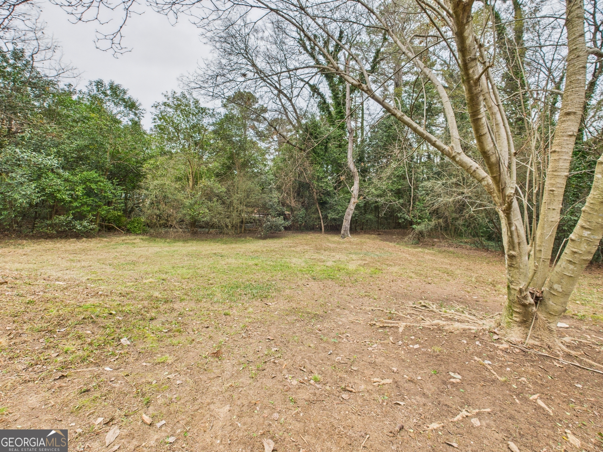 607 Chastain Place Macon, GA 31210 - Photo 54 of 63 a view of a yard with a trees