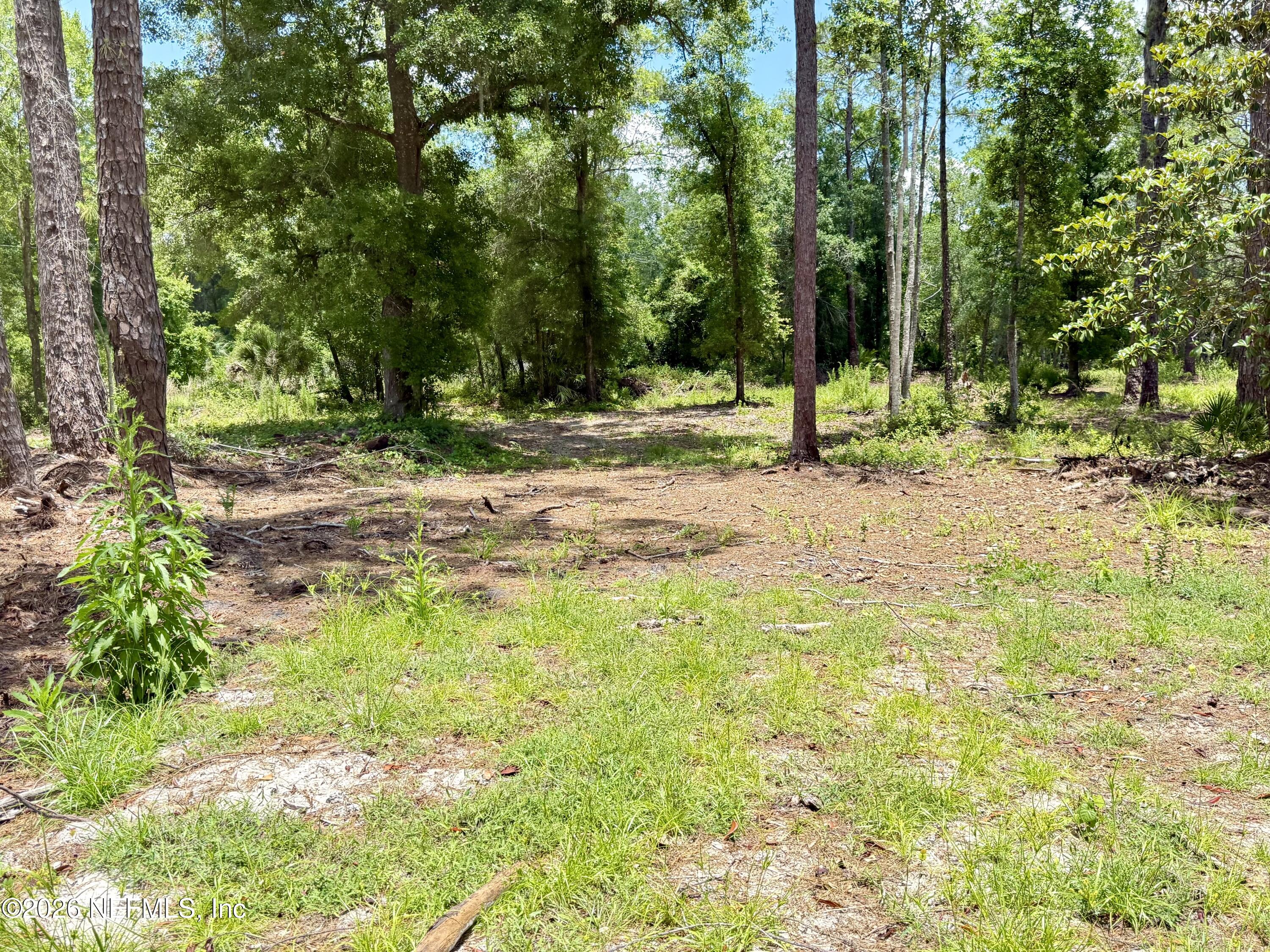 438 Chamberlain Road Satsuma, FL 32189 - Photo 18 of 21 IMG_2979