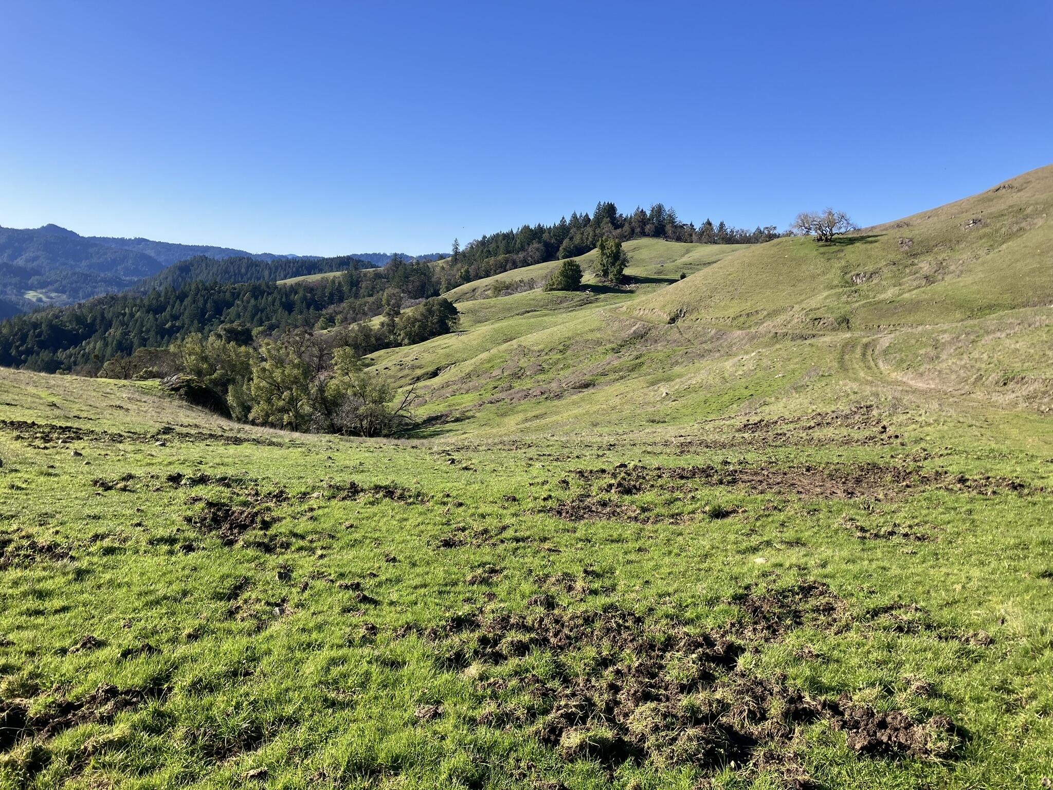 123 Cemetery Road Blocksburg, CA 95514 - Photo 4 of 36