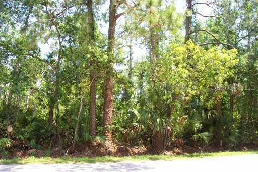 216 Plumosa Road DeBary, FL 32713 - Photo 1 of 1 Land