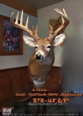 0 Election Road Laurelville, OH 43135 - Photo 30 of 33 trophy deer from property