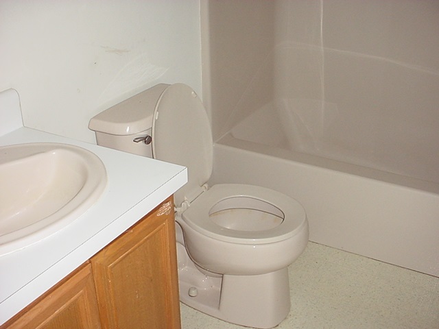 5635 Bell Road Dillwyn, VA 23936 - Photo 5 of 10 a bathroom with a sink and a toilet