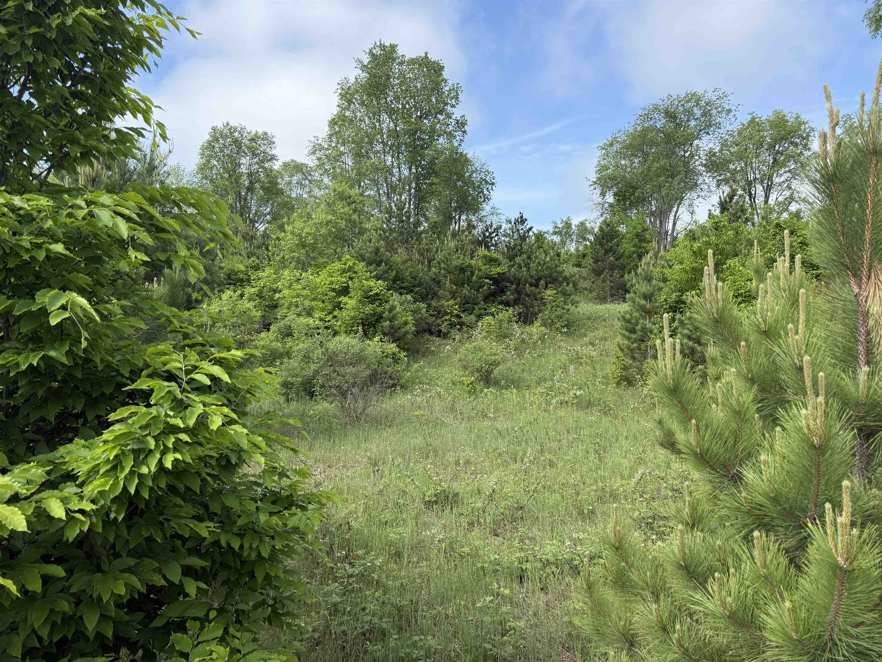 A4 East Kasson Road Traverse City, MI 49684 - Photo 9 of 12