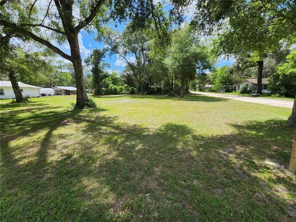 a view of a trees with a yard