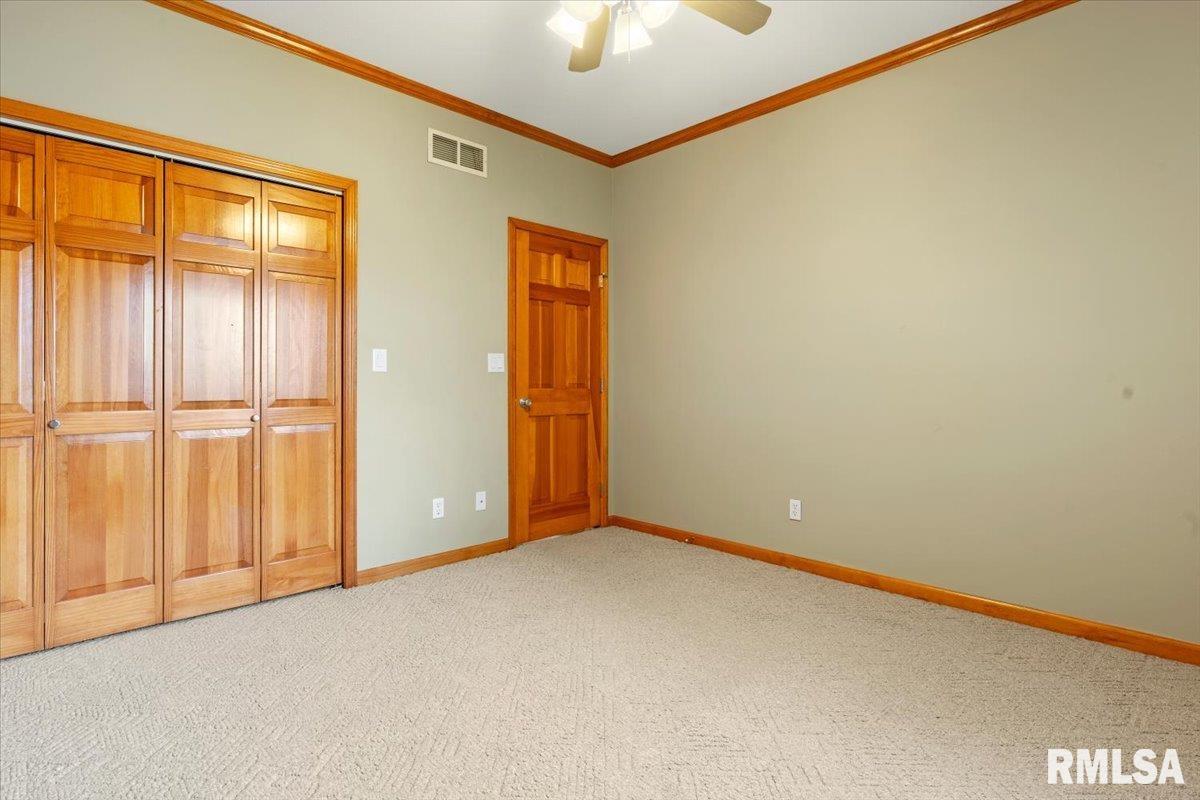 519 Eagle Ridge Drive Chatham, IL 62629 - Photo 21 of 31 Gallery Image 21