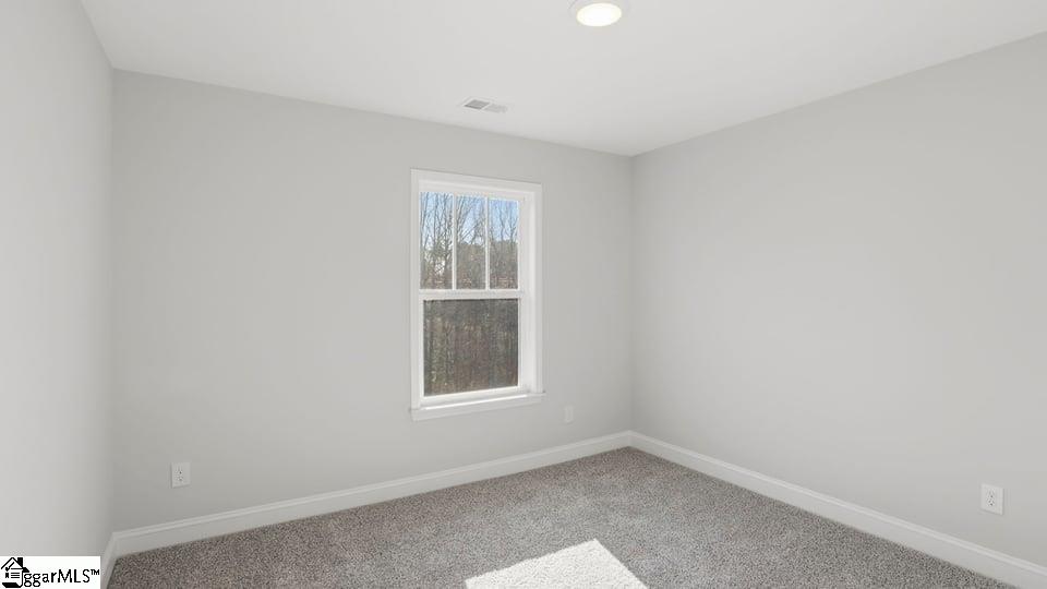 532 Landseer Drive Landrum, SC 29356 - Photo 23 of 37