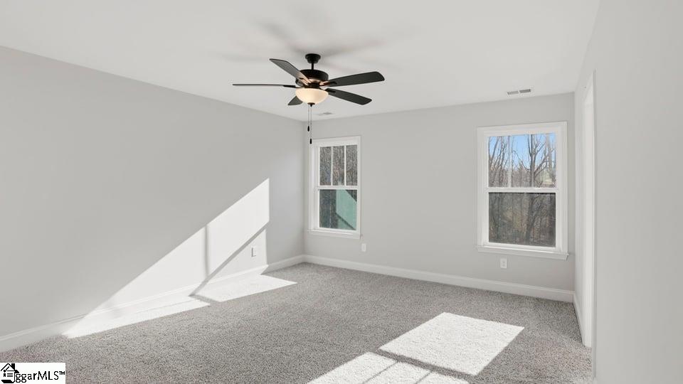 532 Landseer Drive Landrum, SC 29356 - Photo 28 of 37