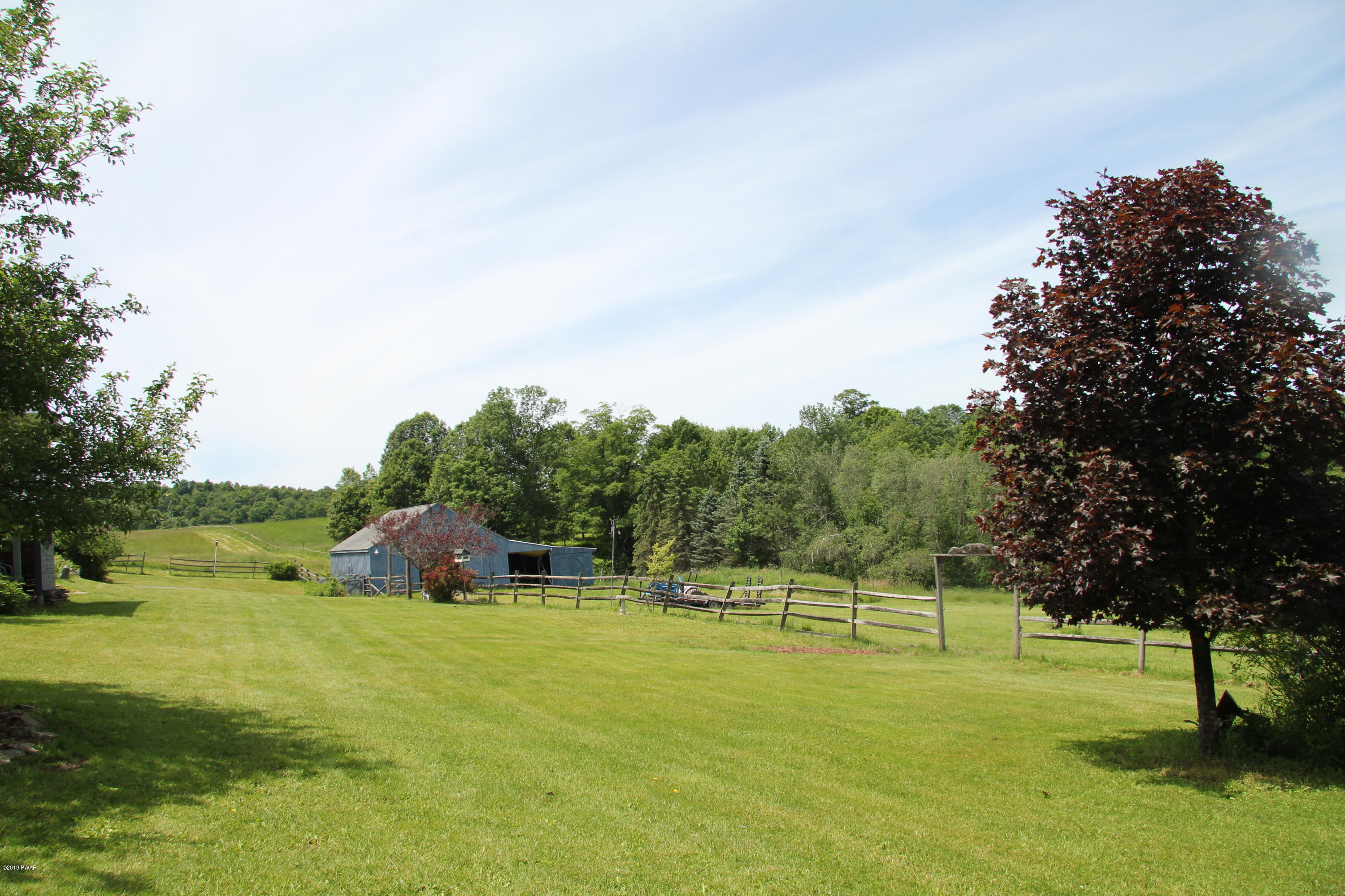 45 Steiner Road Damascus, PA 18415 - Photo 3 of 52 Back Yard