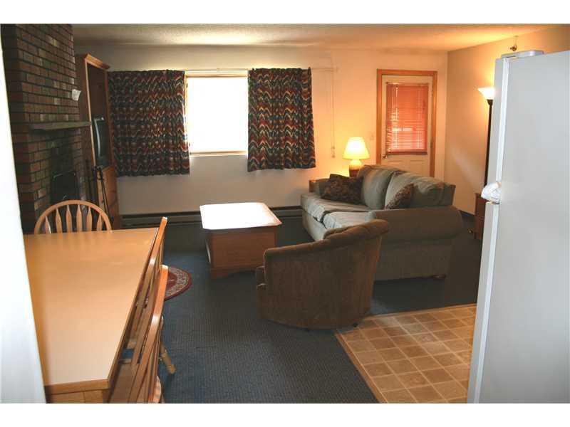 280 Skiway Road, Unit MBIIC Newry, ME 04261 - Photo 3 of 12 Living Room.