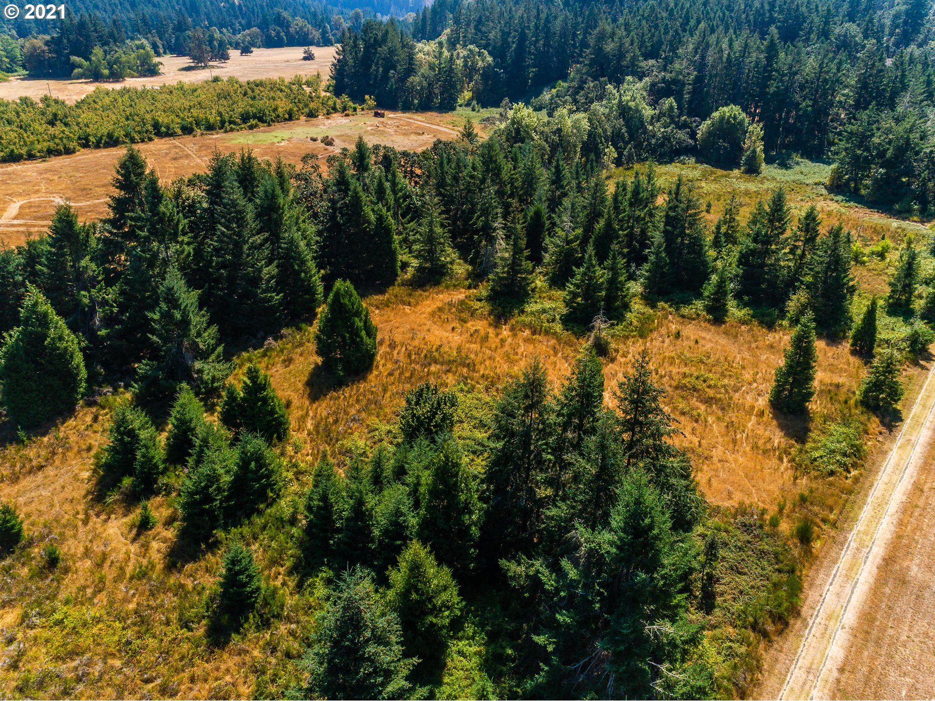 0 Indian Bend Road Umpqua, OR 97486 - Photo 25 of 30 Gallery Image 25