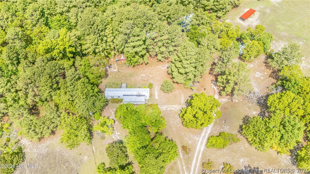 490 Springhill Church Road Hamlet, NC 28345 - Photo 43 of 49 Gallery Image 43
