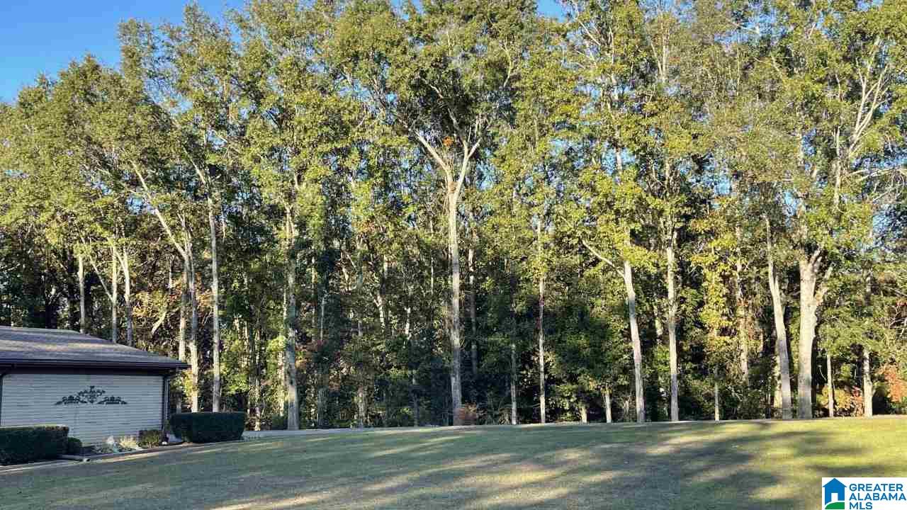 220 Dakota Road Thorsby, AL 35171 - Photo 8 of 11