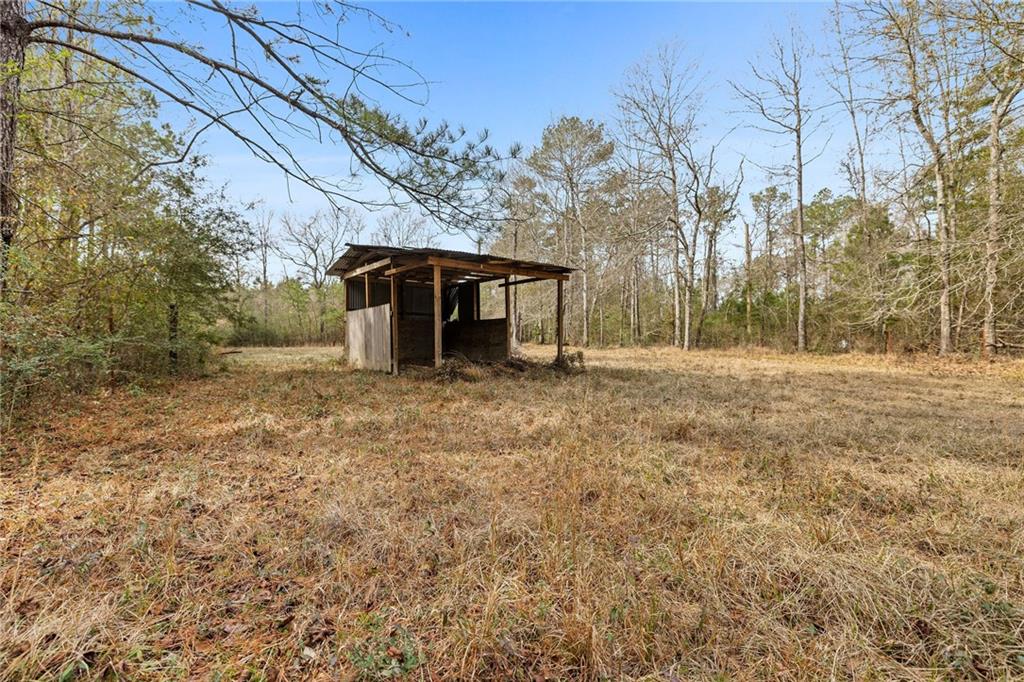 51237 Hall Lane Independence, LA 70443 - Photo 19 of 24