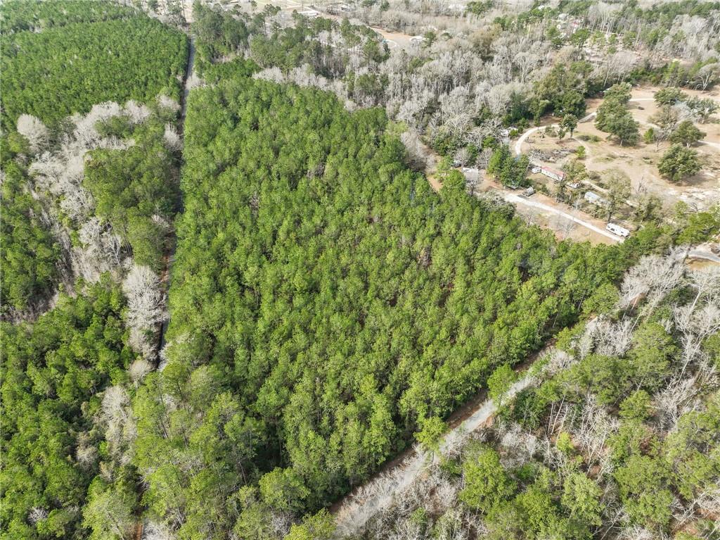 51237 Hall Lane Independence, LA 70443 - Photo 23 of 24