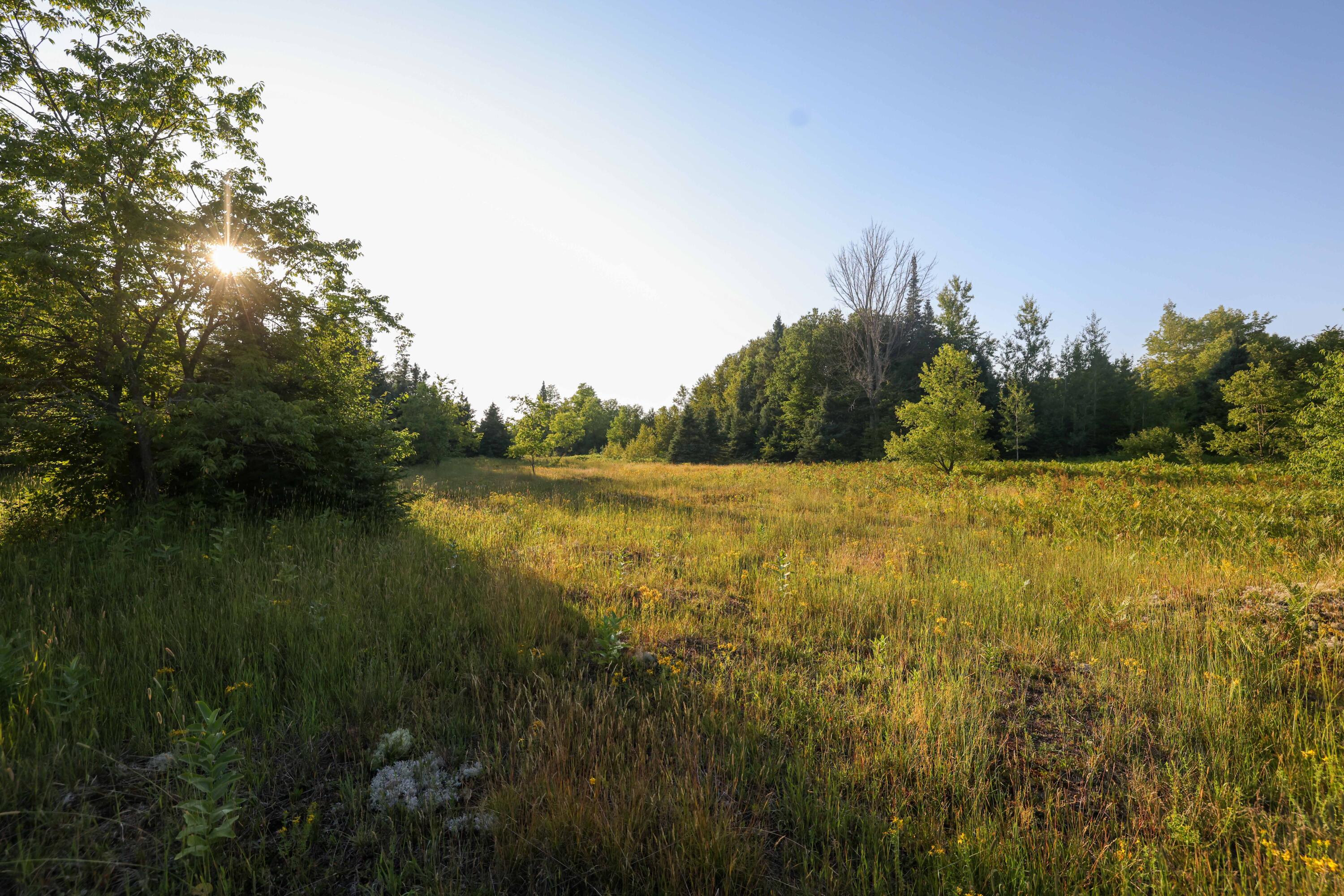0 Ford Lake Road Germfask, MI 49836 - Photo 20 of 49 Gallery Image 20