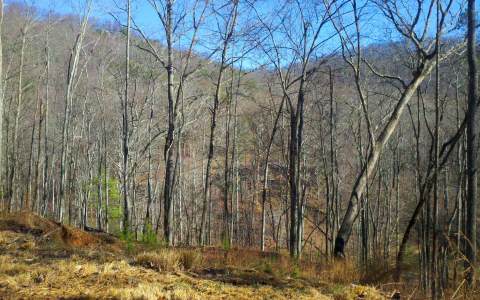 Off W Stover Creek Blue Ridge, GA 30513 - Photo 1 of 1 Main View