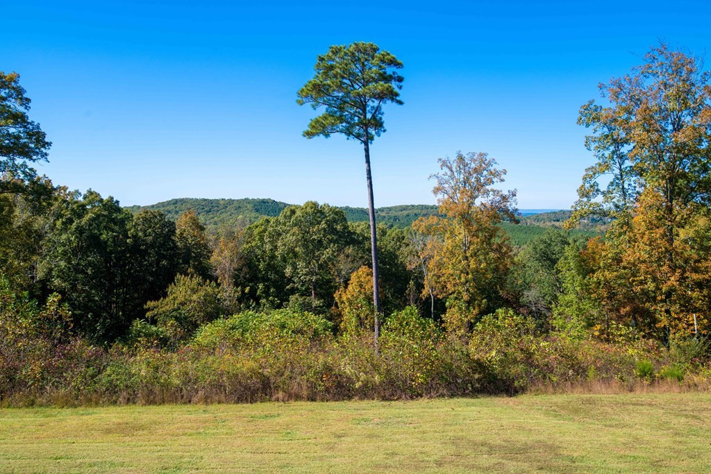 101 Swafford Georgetown, TN 37336 - Photo 46 of 65