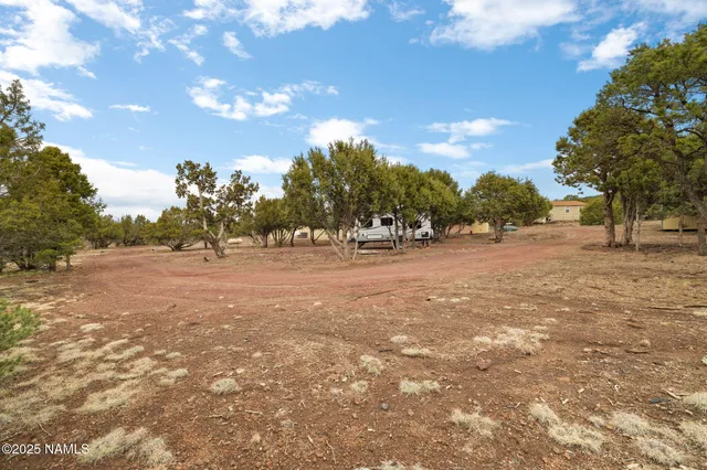 a view of road with large trees