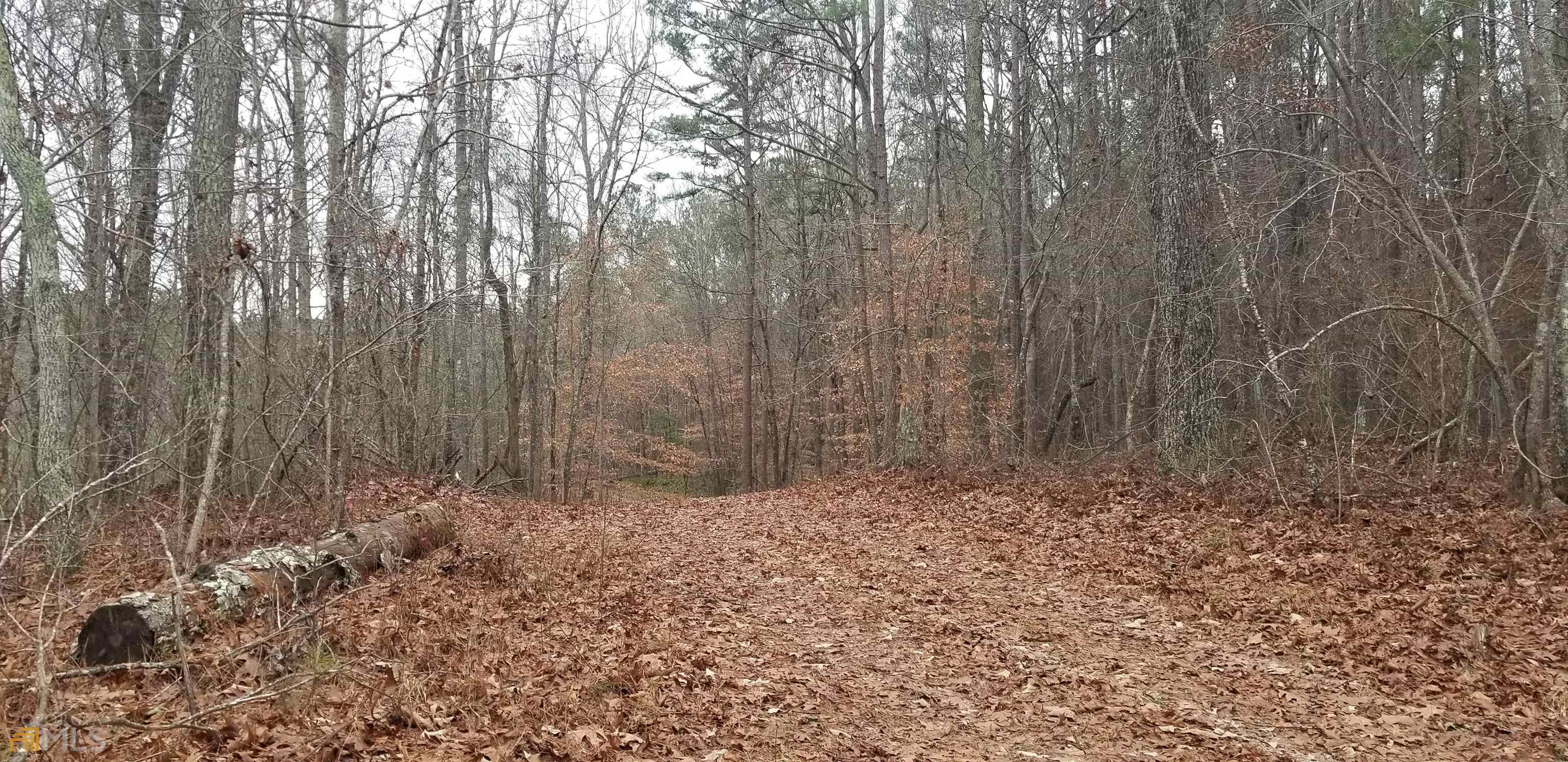 0 Martha Williams Road Buchanan, GA 30113 - Photo 1 of 1 a view of wooden fence