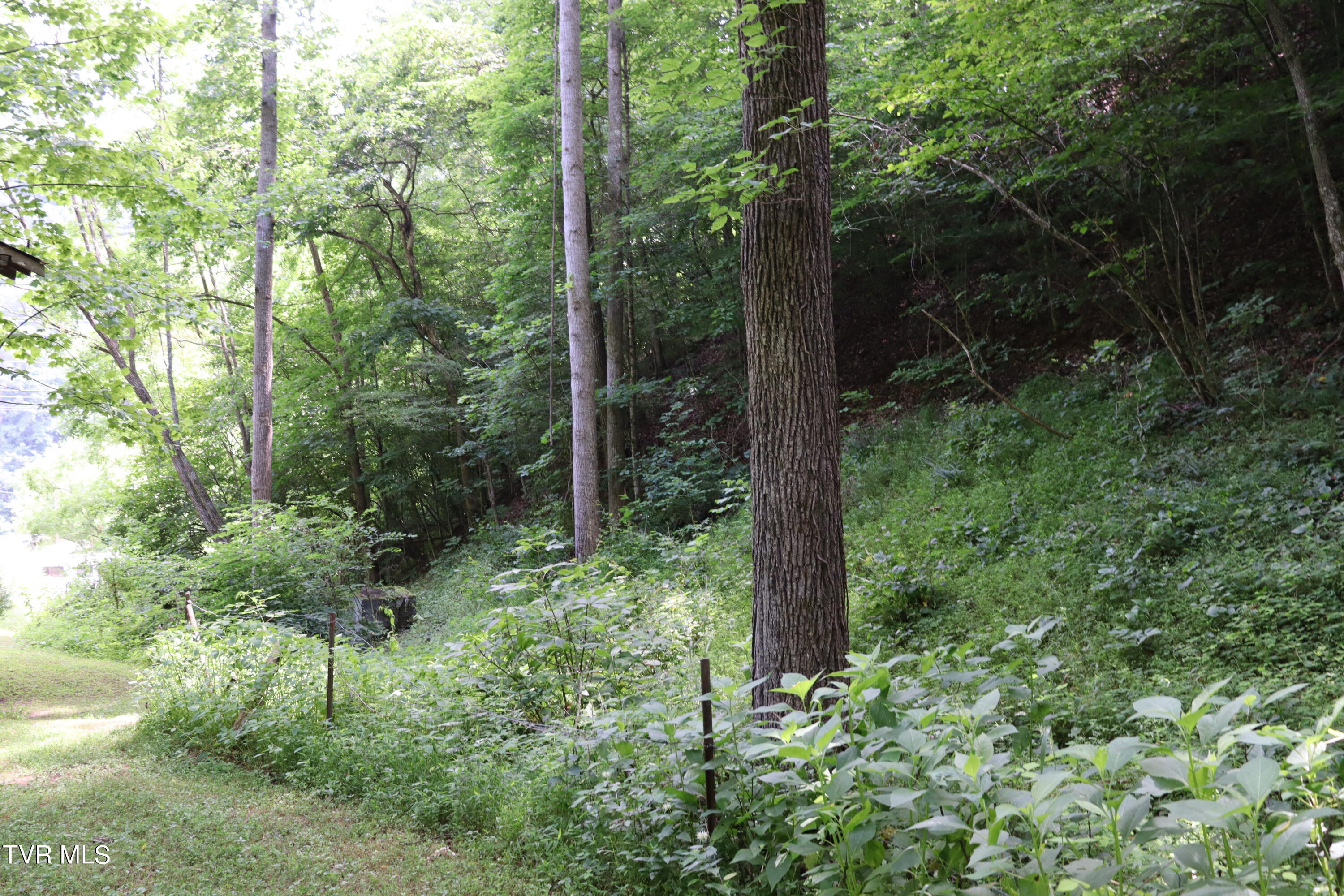 1458 Fairview Road Duffield, VA 24244 - Photo 37 of 59 IMG_8168