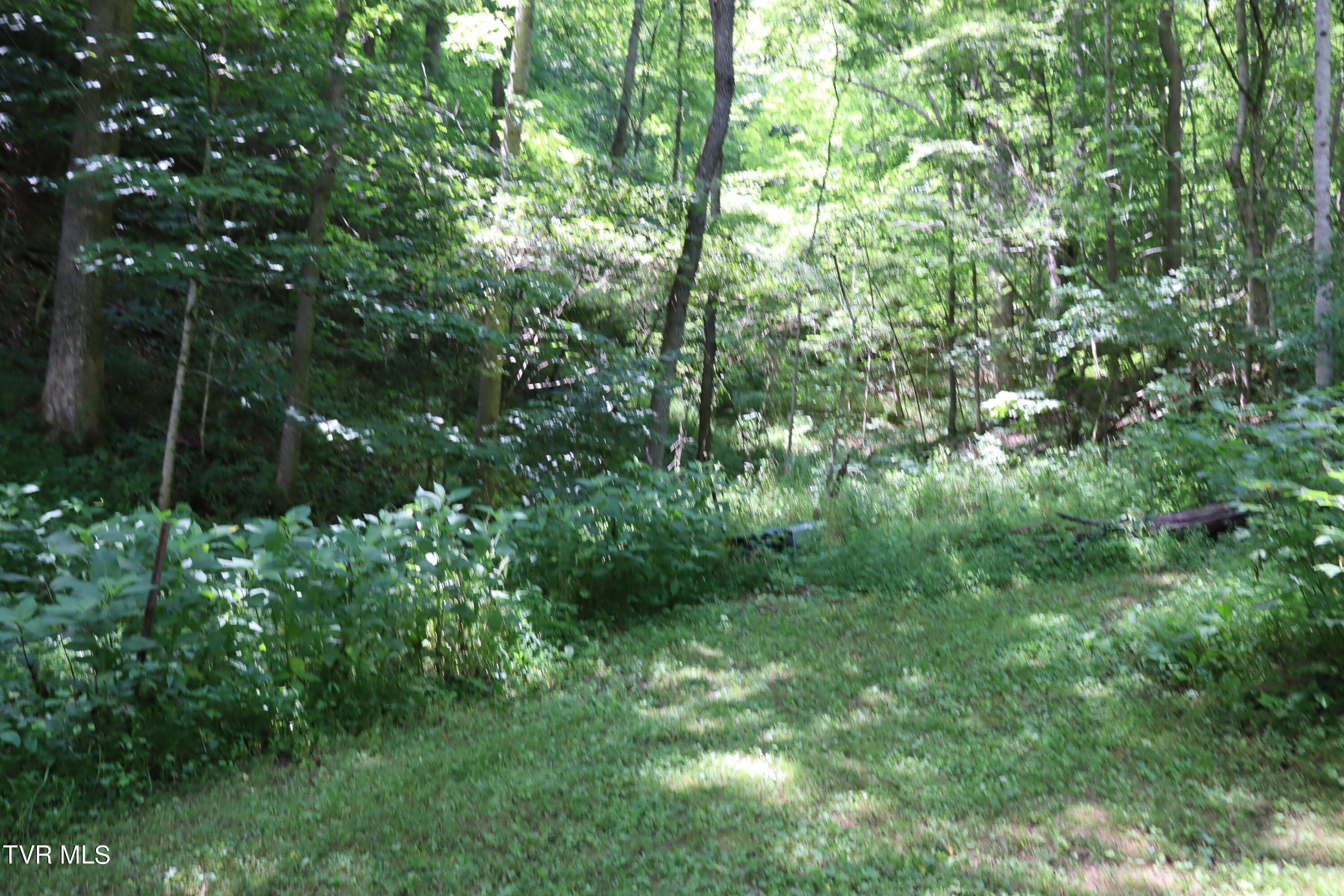 1458 Fairview Road Duffield, VA 24244 - Photo 39 of 59 IMG_8166